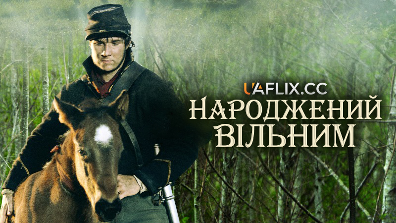 Народжений вільним / Лоша / Жеребець / The Colt