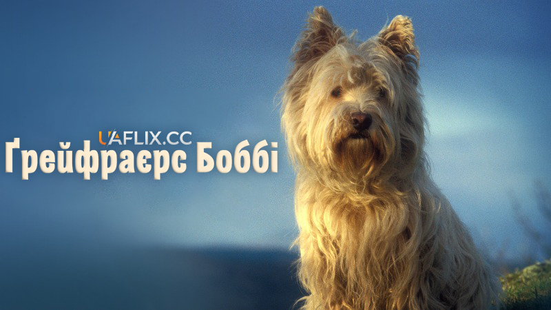 Пригоди Грейфрайарса Боббі / Грейфраєрс Боббі / Малюк Боббі / The Adventures of Greyfriars Bobby