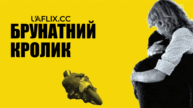 Брунатний кролик / The Brown Bunny