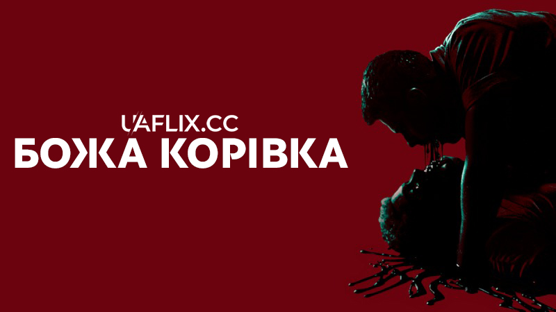 Божа корівка / Сонечко / Ladybug