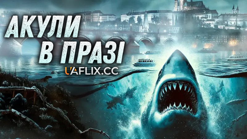 Акули в Празі / Sharks in Prague