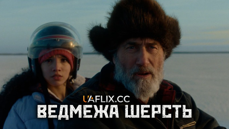 Ведмежа шерсть / Hair of the Bear / La peau de l'ours