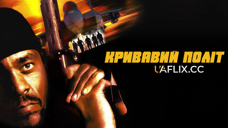 Кривавий політ / Air Rage / Purple Heart