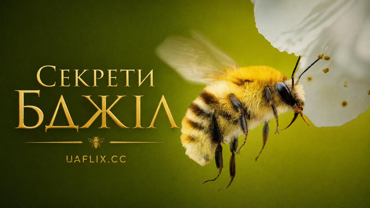 Секрети бджіл / Secrets of the Bees