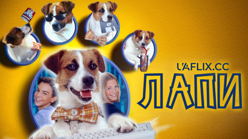 Лапи / Paws