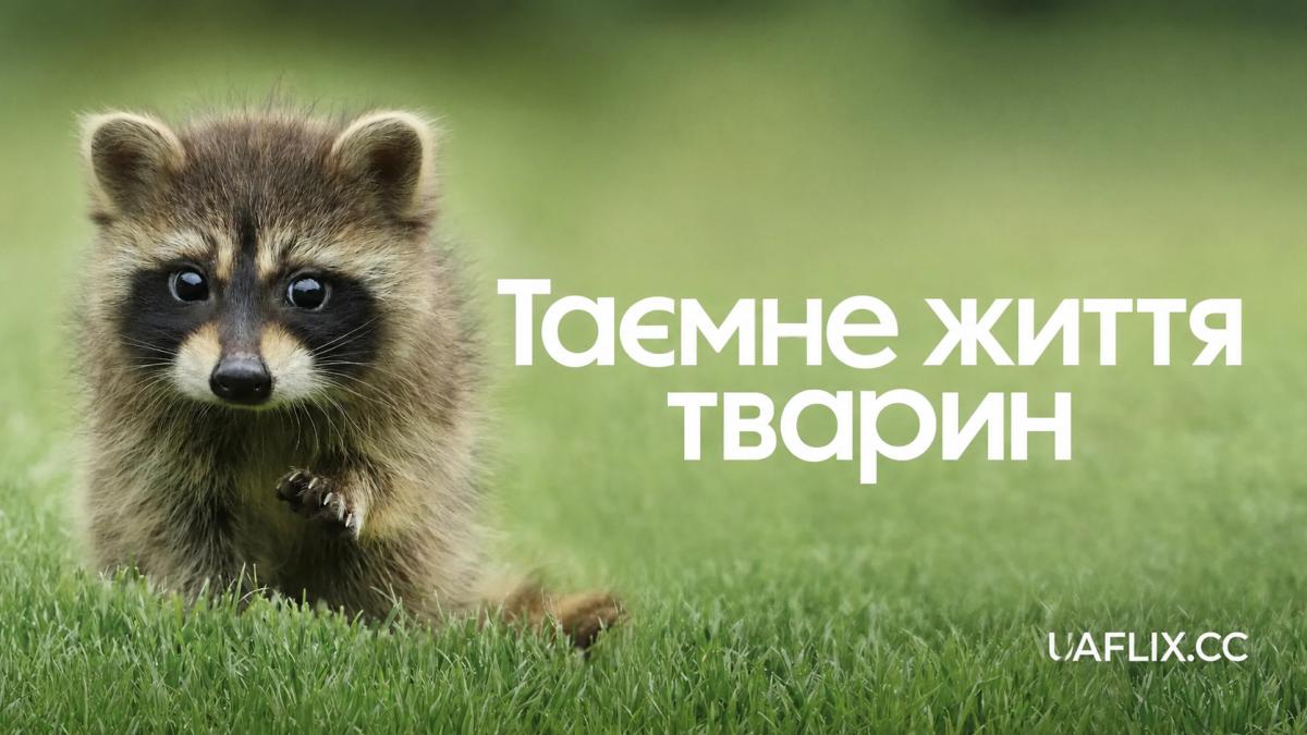 Таємне життя тварин / The Secret Lives of Animals