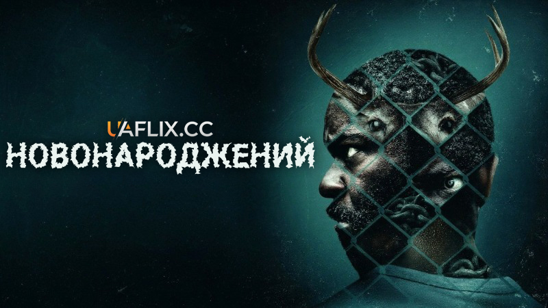 Новонароджений / Newborn