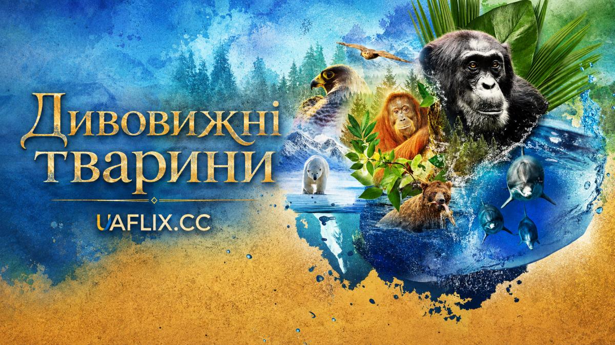 Дивовижні тварини / Animal