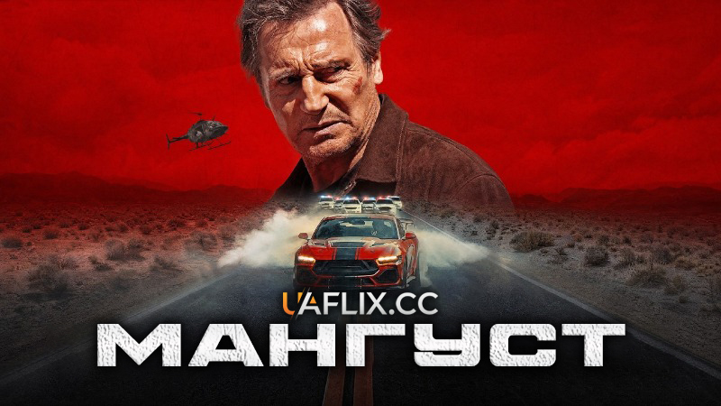 Мангуст / The Mongoose
