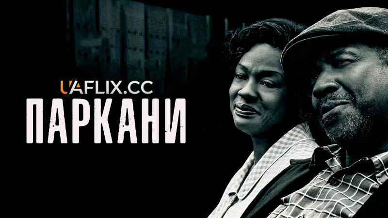 Паркани / Fences