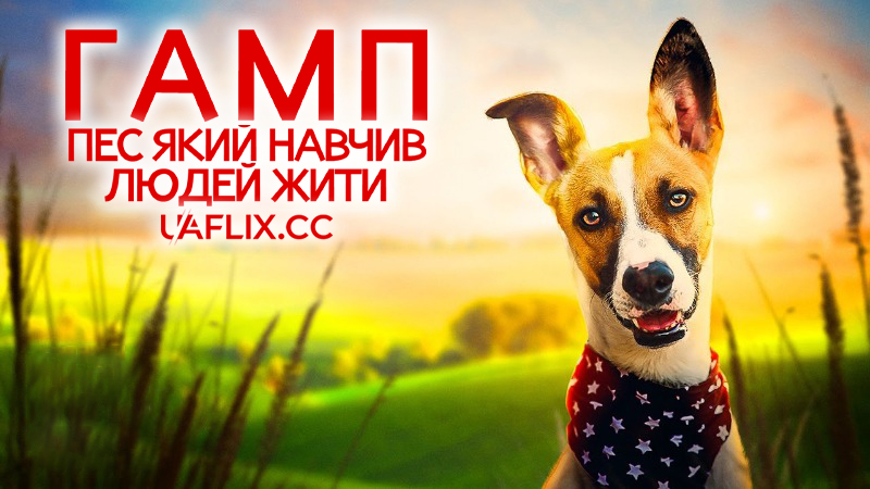 Гамп: Пес, який навчив людей жити / Gump – pes, který naučil lidi žít