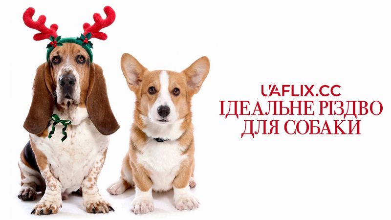 Ідеальне Різдво для собаки / A Dog's Perfect Christmas