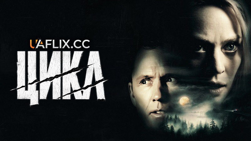 Цикл / The Cycle